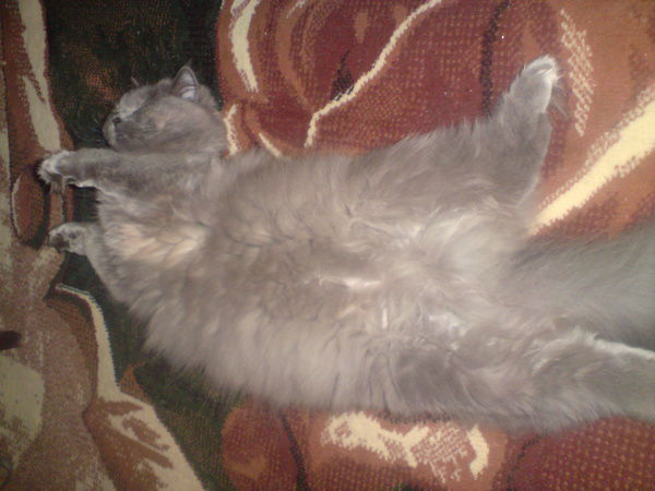 Наталья Боева