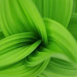 Татьяна Михеева