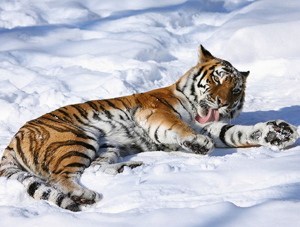 Виталий Рябкин