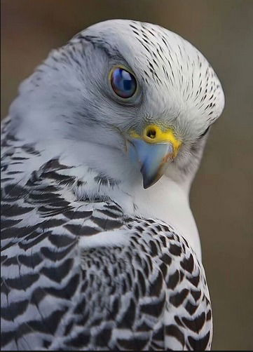 Михаил Ищенко