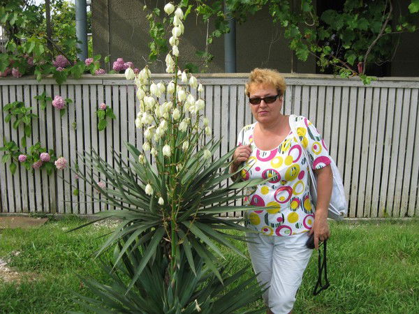 Лариса Яковенко (Уколова)