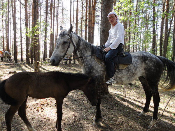 Александр Максимов