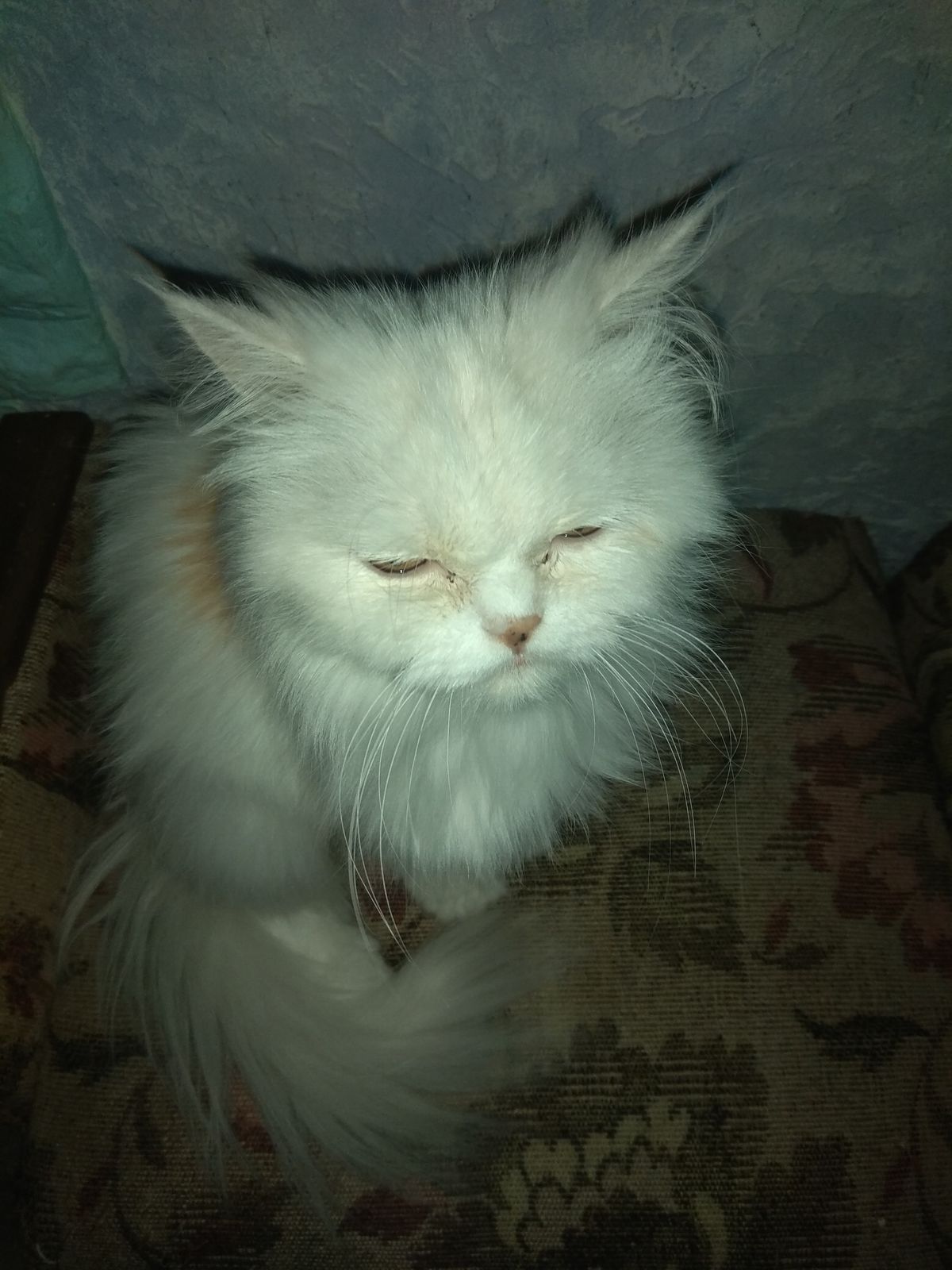 Наталья Брындина