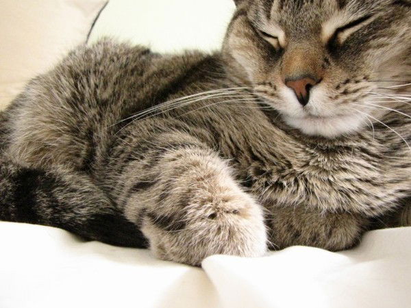 Наталия Забутная