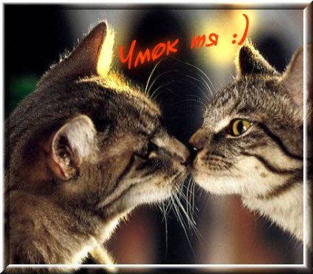 Светлана Пережилина