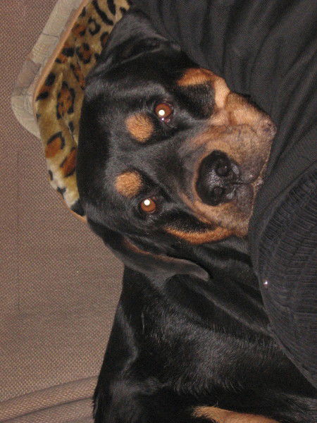 Алла Михайловна