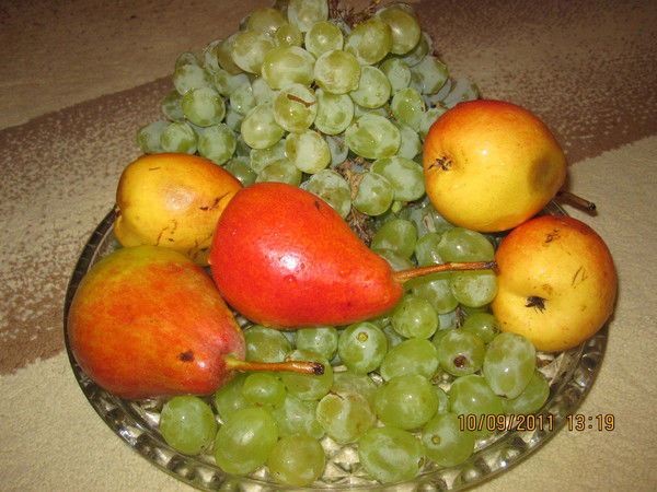 Надежда Тарасенко Еворовская