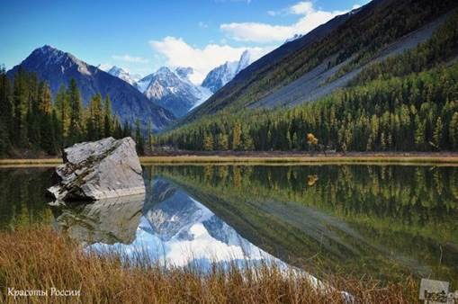 Нарядкин Александр