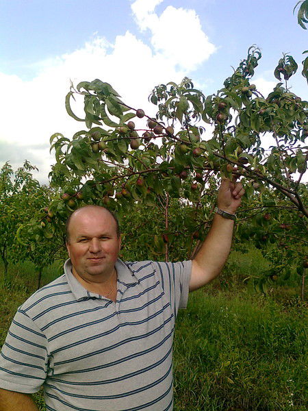 Олексій Юрчишин