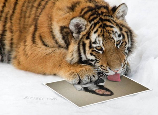 Наталья Епишкова