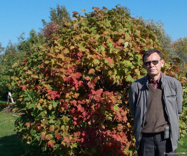 Владислав Кириллов