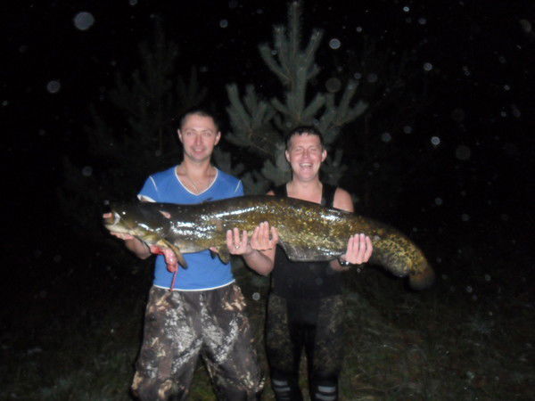 Bитaля Bитaлиk