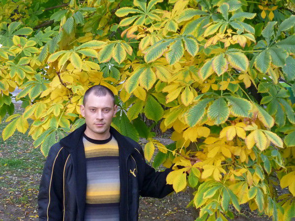 Александр Кириленко