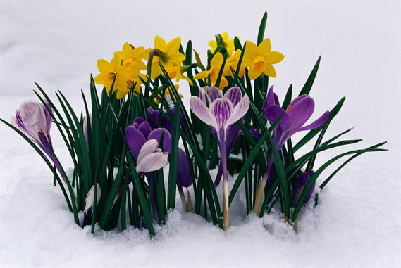 Ирина Кондратьева