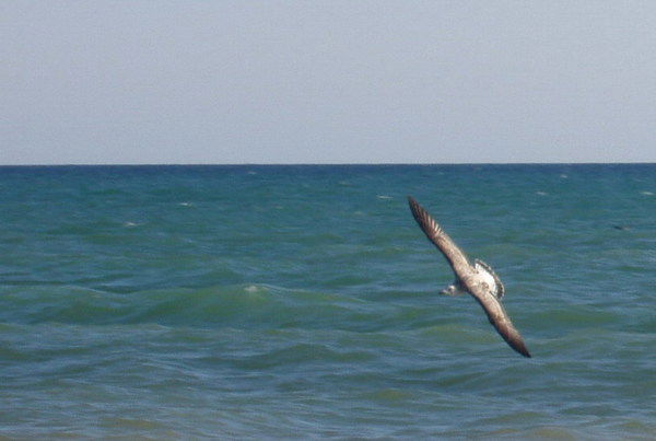 Валентина Шитикова