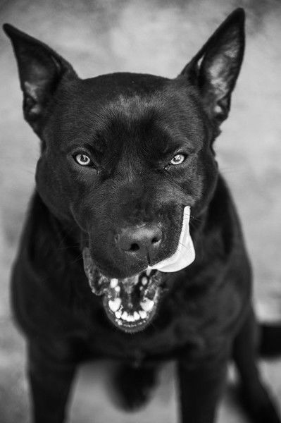 Юрий Балашов