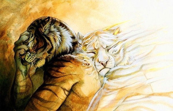 Роман Стецура