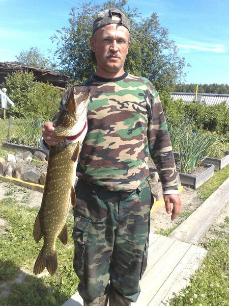 Владимир Максимовский