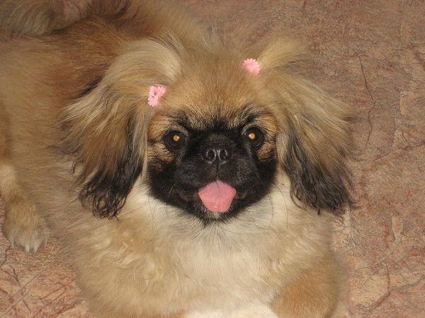 Вера Барышникова