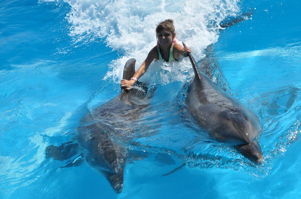 Екатерина Курличенко