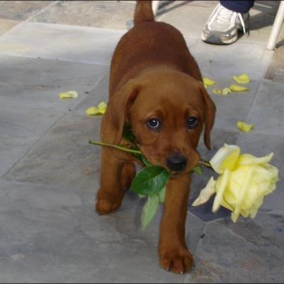 Сергей Писклаков