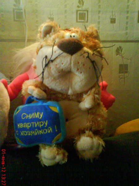 Елена Серкова