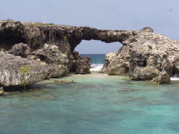 Алим Данхели