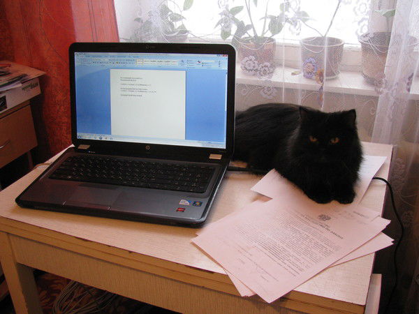 Татьяна Рогова