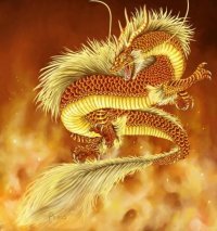 Юрий Соколенко