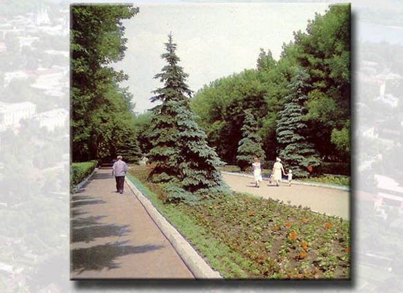 Александр Пигин