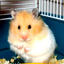Евгений @