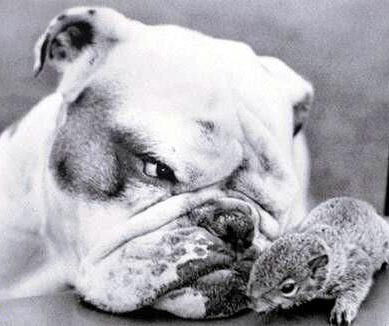 Бахтияр Османов