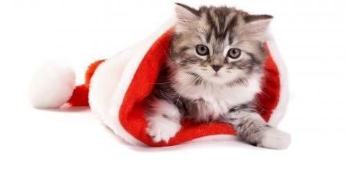 Акмалов Сагит