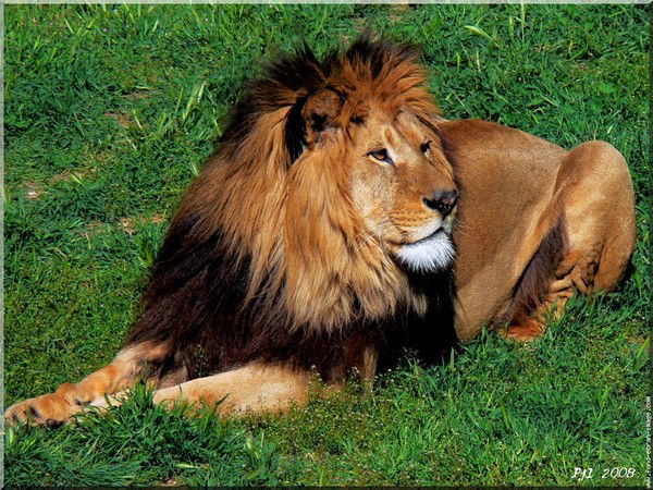 Виктор Кулаченко