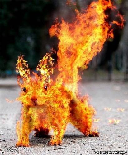 Алексей Соболевский