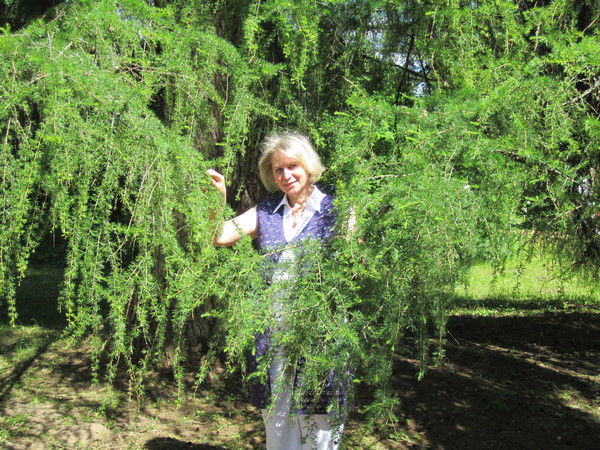 Ирина Шаброва