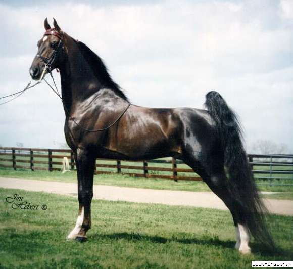 Ербол Ербол