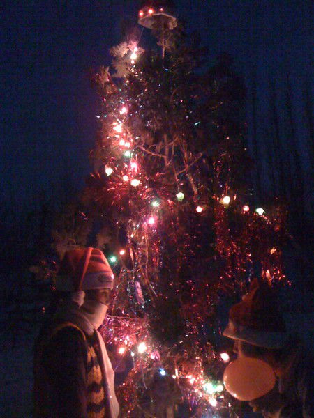 Айгуль Мамытова