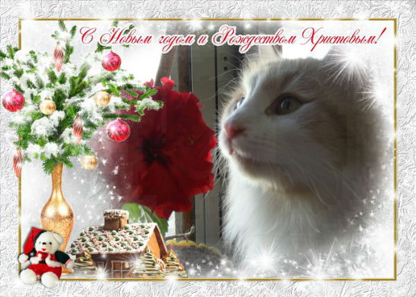 Татьяна Пахмутова