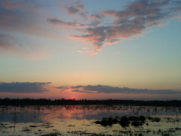 Евгений Минаев