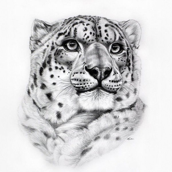 Авесхан Абдуллаев