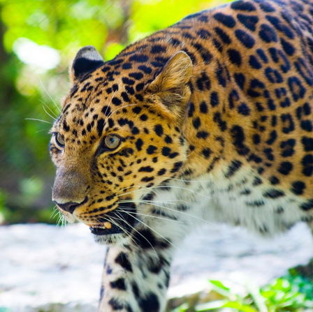 Яна Марышева