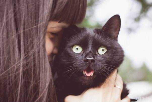 Анастасия Рыжкова