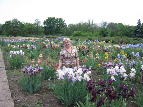 Наталья Мищенко