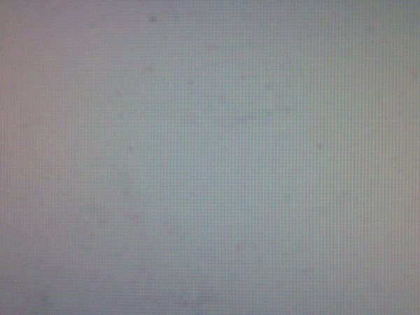 Андрей Бакуменко