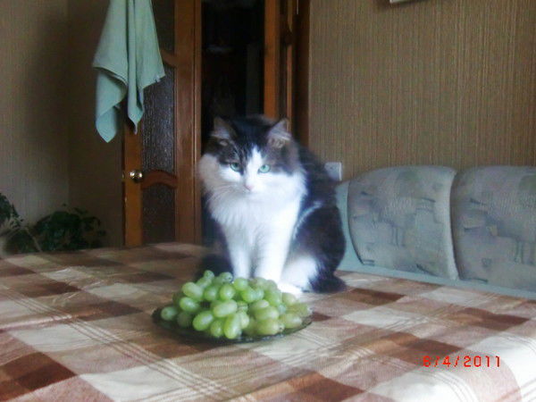 Ирина Хайруллина