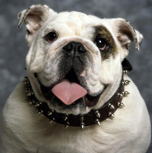 Александр Захаров