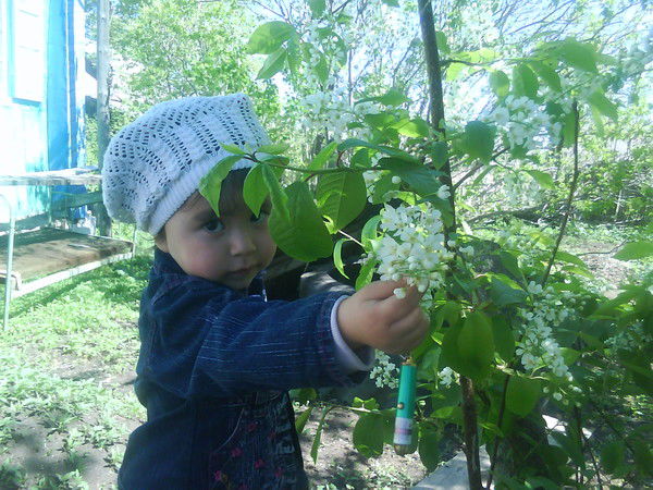 Альфия Биктимерова