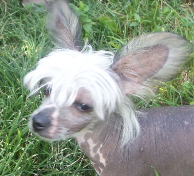 Ирина Подвойская