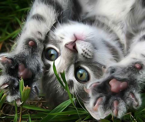 Ольга Волгунова